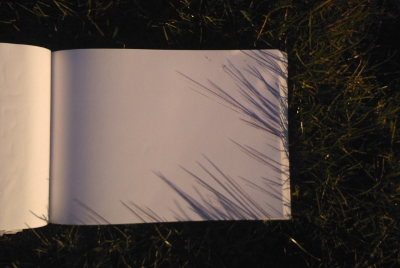 Drawings of the shadows of grass blades