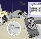 Diagram of tools used for bat walk mapping